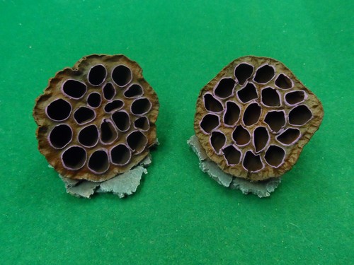 Wargaming handmade alien hive - alien,
