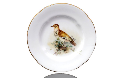 Royal worcester painted wood - painted,