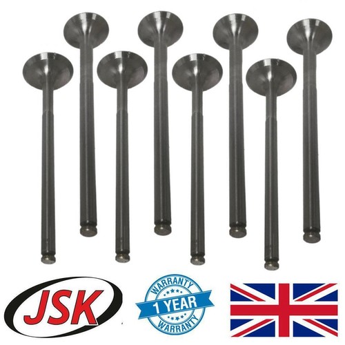 Exhaust inlet valve set - inlet,