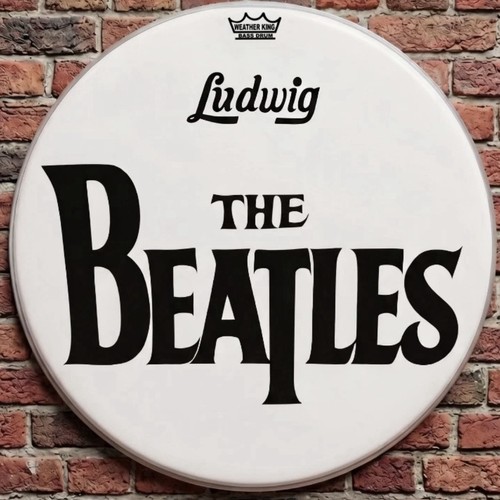 The beatles 20 inch - the,
