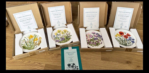 Lot royal albert - albert, /