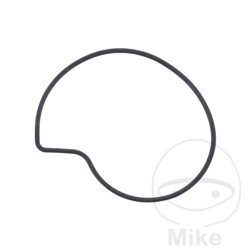 Athena water pump - pump, gasket
