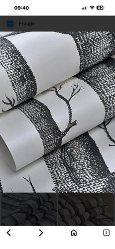 Modern white birch tree - modern,