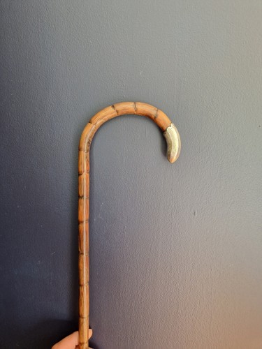 Antique vintage walking stick - walking,
