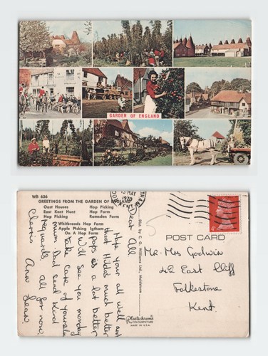 Vintage postcard garden - vintage,