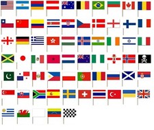 10 COUNTRY NATIONAL FLAG COCKTAIL STICKS PICKS CUPCAKE SANDWICH PARTY FOOD DECOR