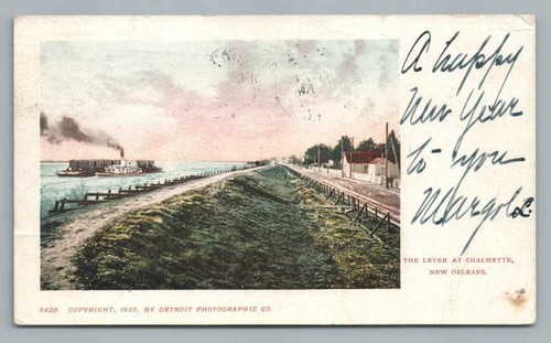 Mississippi river levee - river,