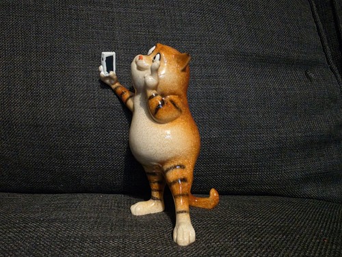 Selfie ginger fat cat - selfie,