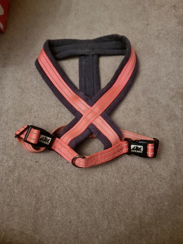 Peaks viz orange fleece - hi,