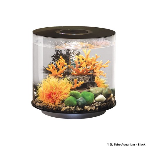 Oase biorb tube - aquarium, fish