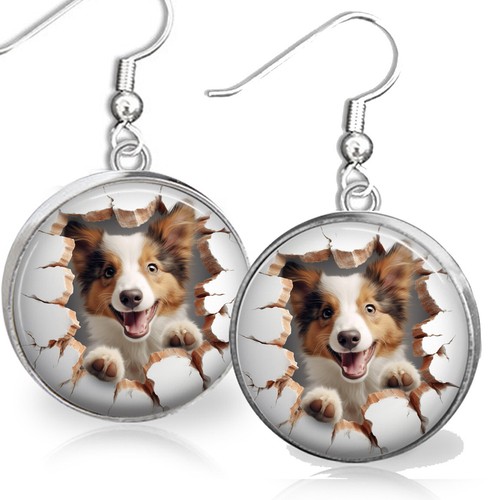 Shetland sheepdog dog - sheepdog,