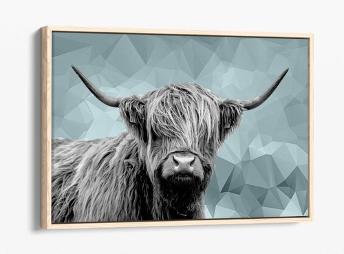 Highland cow duck - duck, blue