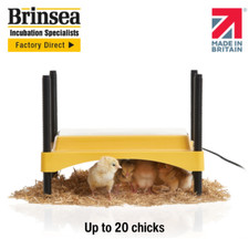 Brinsea EcoGlow Safety 600