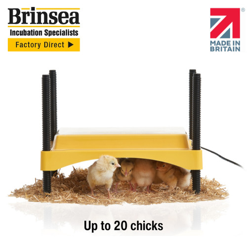 Brinsea ecoglow safety - ecoglow,