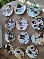 Royal Worcester Danbury Mint