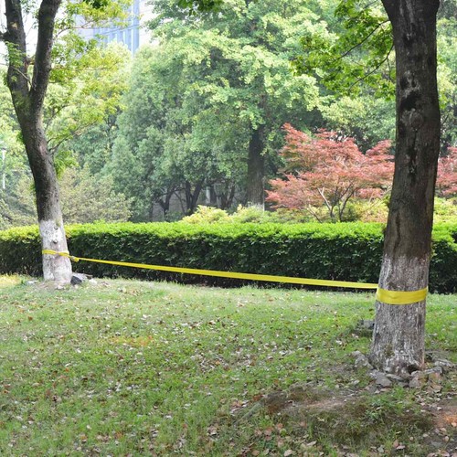 142667 slackline 50 - 15, x