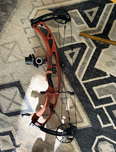 Hoyt ultra with custom - 10, bow