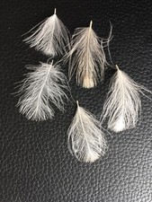 cdc feathers 1g Natural White