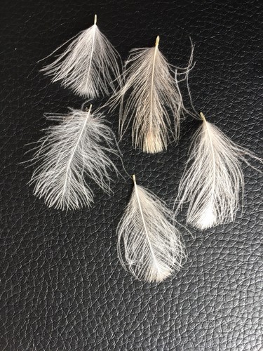 Cdc feathers natural white - cdc, 1g