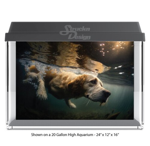 Funny diving dog golden - funny,