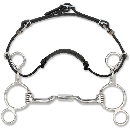 Myler ring combination bit - bit,