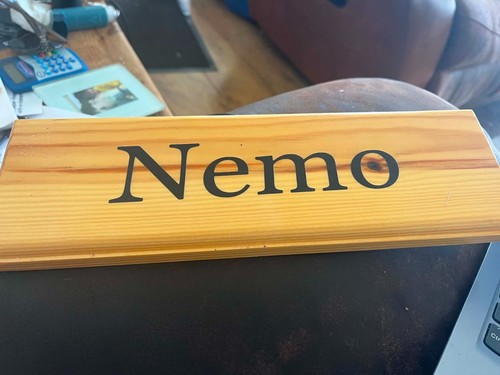 Nemo horse stable name - horse, plate