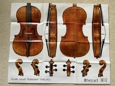 Strad Poster - Nicolo Amati