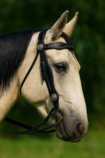Concho Western BRIDLE -
