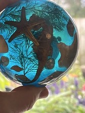 Beautiful 1960s Lucite Blue Paperweight Ocean Seashells Starfish 