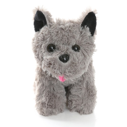 Cute terrier dog - terrier, plush