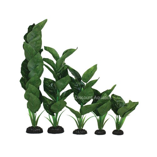 Anubias green silk aquarium - ,