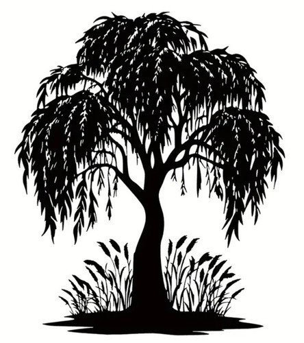 Graceful drooping weeping - graceful,