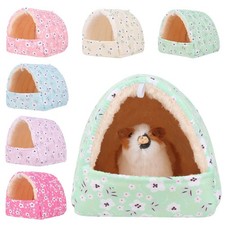 Squirrel hamster house - house, guinea