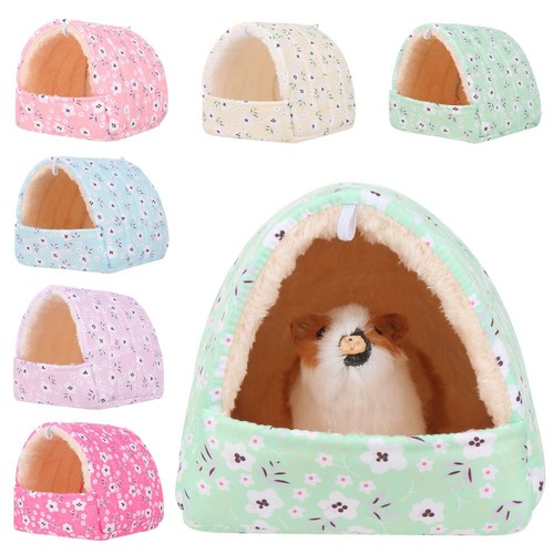 Squirrel hamster house guinea - hamster,