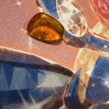 Natural amber with - amber, bug