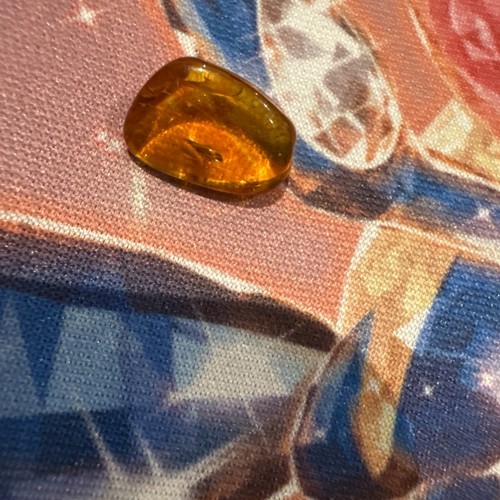 Natural amber with bug - amber,