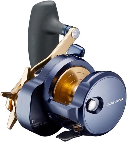 Daiwa saltiga 15h - 22,