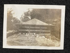 Detroit Michigan MI Guinea Pig