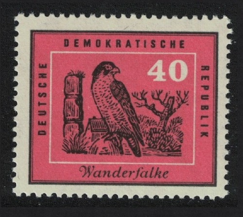 Peregrine falcon bird gdr 1959 - gdr,