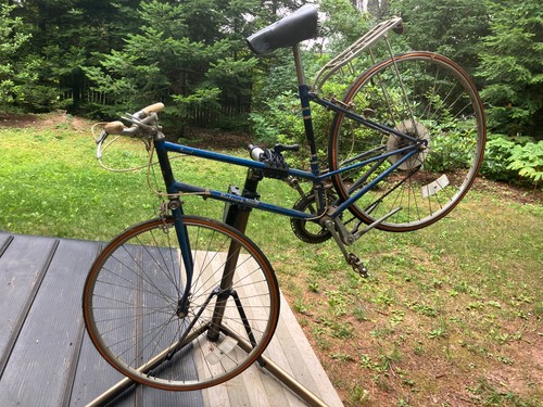 Vintage ladies raleigh record - vintage,