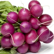 50 Purple Giant Vegetable Radish Seeds Grow Large Round Bulbs UK Harvested