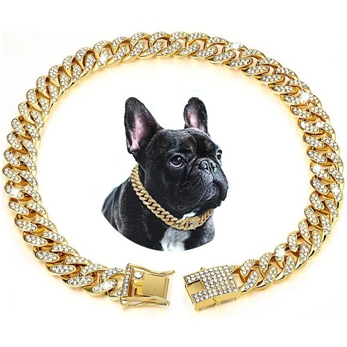 Diamond cuban dog - dog, chain