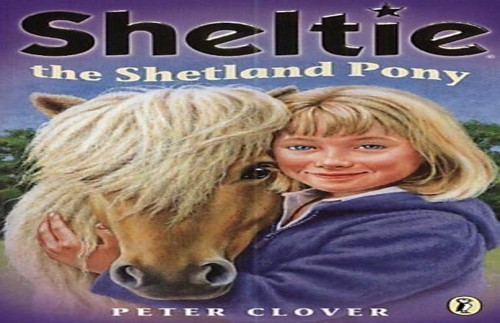 Sheltie the shetland pony and - sheltie,