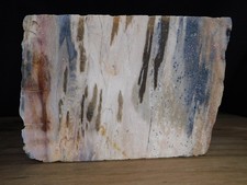 Vintage Cut Petrified Wood