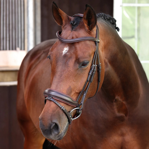 Shires velociti lusso - velociti,