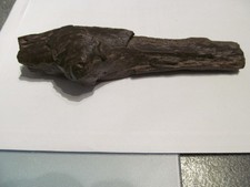 FOSSILIZED SPECIMEN SINOSAUROPTERYX BONE ?! WEIGHS 490GRAMS 8" LONG