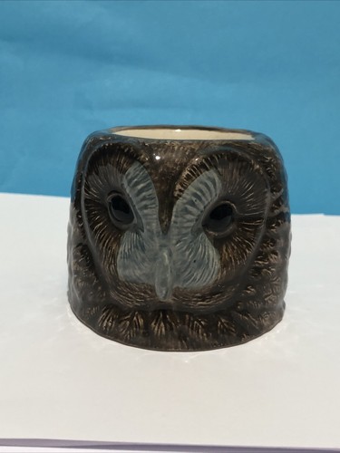 Tawny owl face - tawny, cup