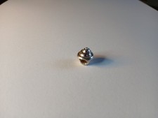 Truth PK 925 Cupcake Charm