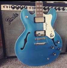 Epiphone Supernova Noel Gallagher Signature Repair Vinyl Decal