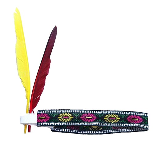 Indian adult unisex headdress - indian,